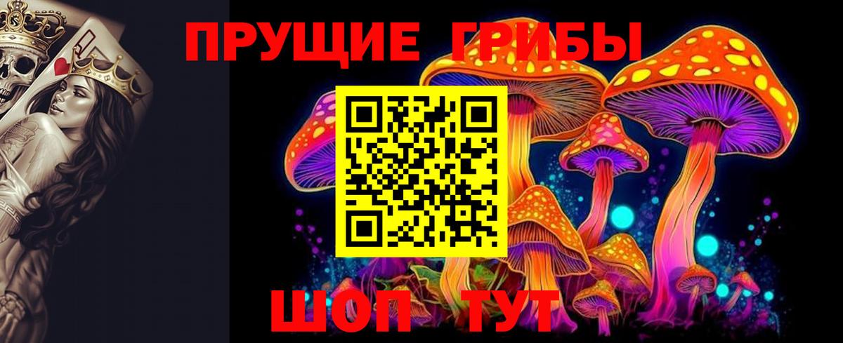 Новоалтайск  где купить наркоту  Псилоцибиновые грибы GOLDEN TEACHER  Вход с VPN  Галлюциногенные грибы Psilocybe 